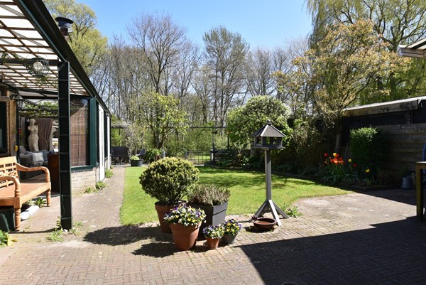 DSC_5818 (Aangepast).JPG